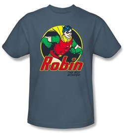 Batman And Robin T-shirt - The Boy Wonder DC Comics Adult Slate