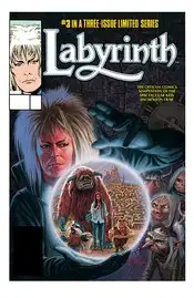 Jim Hensons Labyrinth Archive Ed #3 (of 3) (Cover A - Palmer)