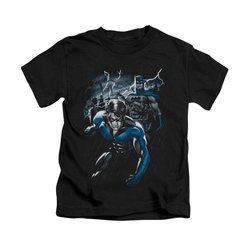 Nightwing DC Comics Shirt Dynamic Duo Kids Black Youth Tee T-Shirt