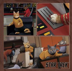 Star Trek Cats "Warp Speed Triptych" Coffee T-shirt