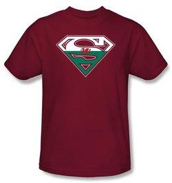 Superman Logo Kids T-Shirt Welsh Shield Cardinal Red Tee Youth