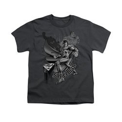 Superman Shirt Kids Fight And Flight Charcoal T-Shirt