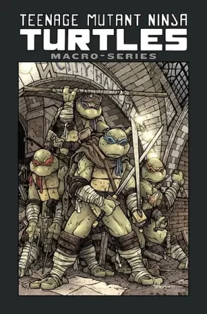 Teenage Mutant Ninja Turtles Macroseries TPB