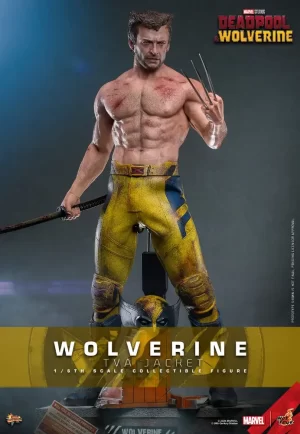 Hot Toys Wolverine (TVA Jacket Version) Sixth Scale Figure