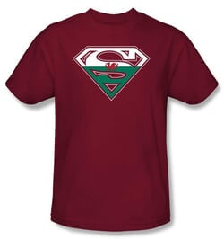 Superman Logo Kids T-Shirt Welsh Shield Cardinal Red Tee Youth